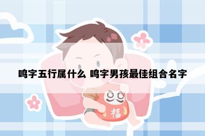 鸣字五行属什么 鸣字男孩最佳组合名字