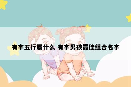 有字五行属什么 有字男孩最佳组合名字