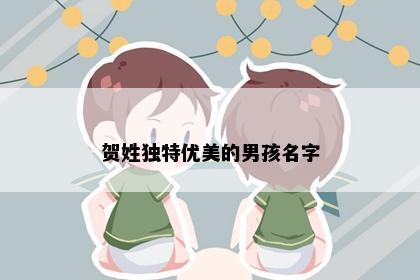 贺姓独特优美的男孩名字