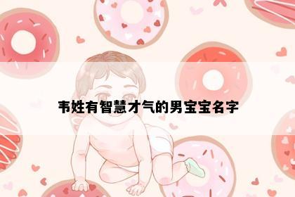 韦姓有智慧才气的男宝宝名字